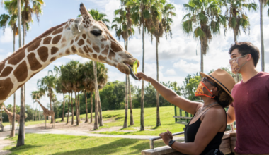 DOJ sues Busch Gardens parent company for rollator walker ban