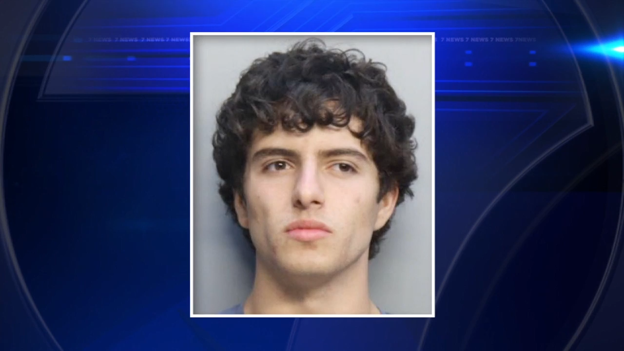 18-year-old driver arrested by Miami Beach police for resisting arrest after being pulled over; teen later released - WSVN 7News | Miami News, Weather, Sports
