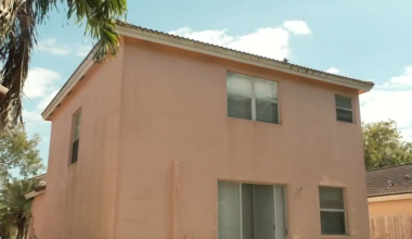 Living next to bats - WSVN 7News | Miami News, Weather, Sports