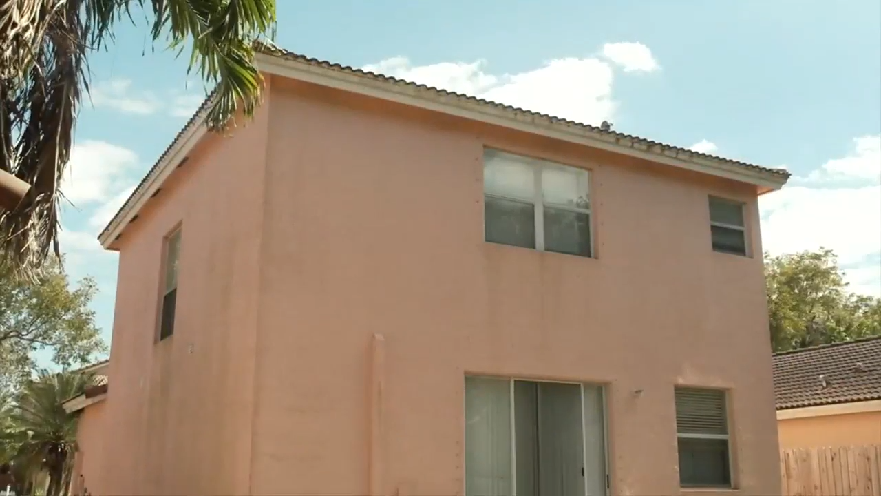 Living next to bats - WSVN 7News | Miami News, Weather, Sports