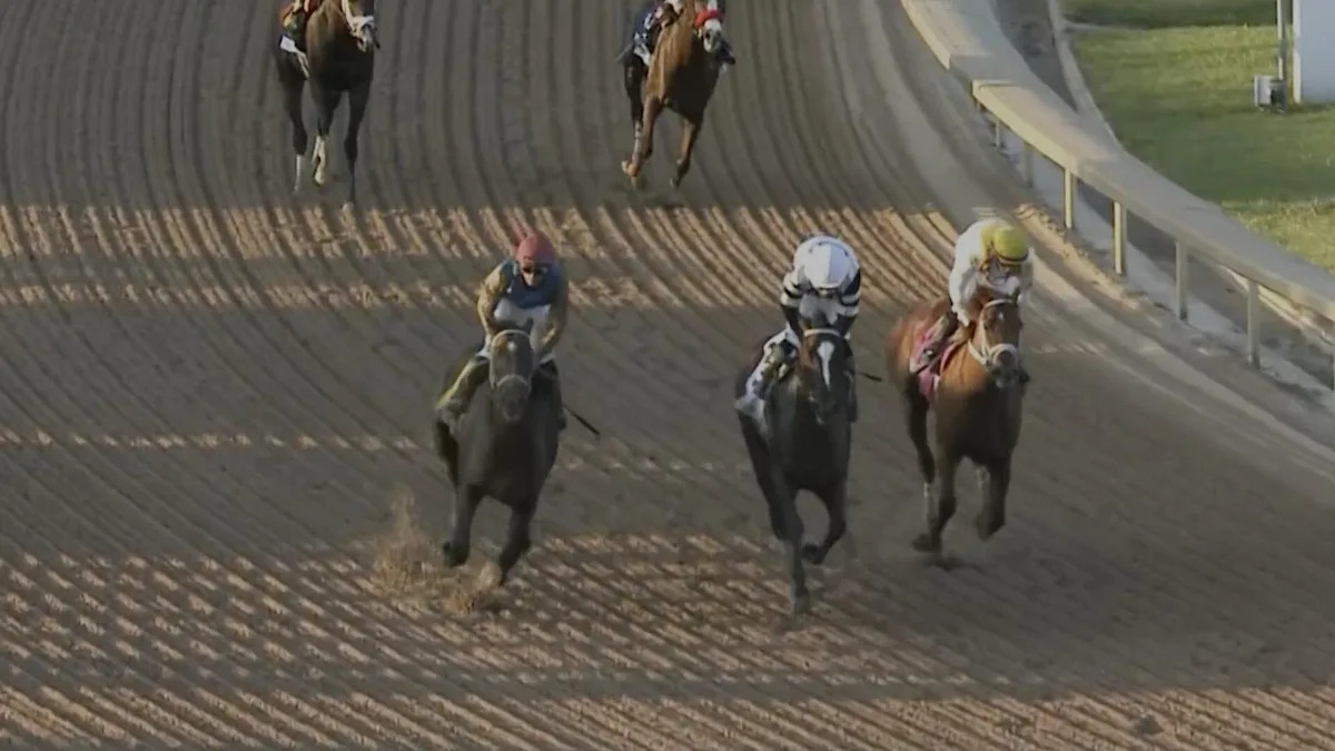 Download app from appStore