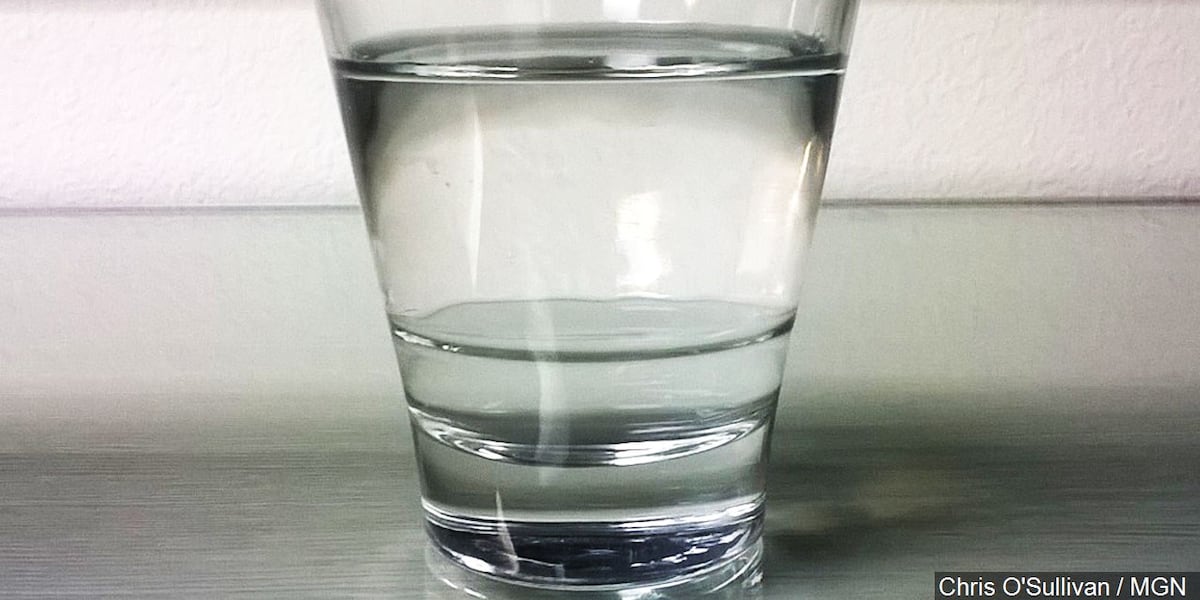 Tampa Bay’s main source of drinking water says local rivers are drying up