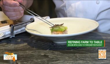 Boujie Bites: The ultimate 11-course tasting at Foreigner