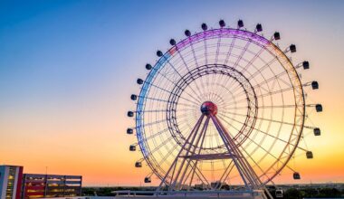 4 Super Fun Things to Do in Orlando That Don't Involve Disney