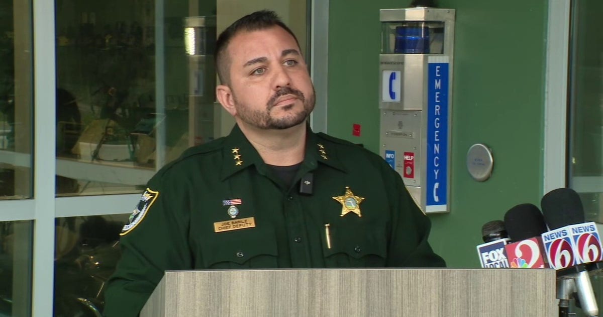 Florida college student, 20, gave birth in toilet; suspected of letting her newborn baby die, deputies say