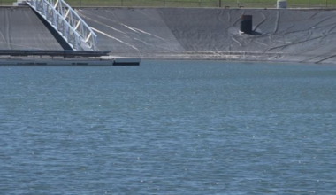 ‘Forever chemicals’ probably coming from Tallahassee wastewater field, flowing to Wakulla Springs