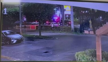 Video shows Hialeah officer shoot driver during 2024 traffic stop – NBC 6 South Florida