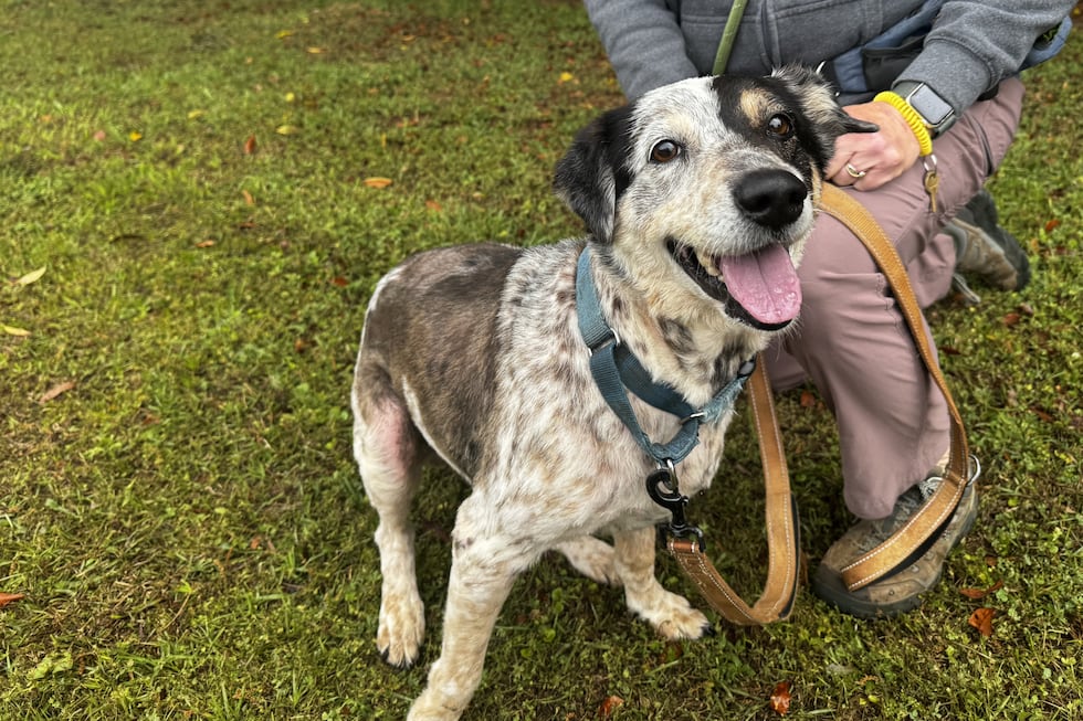 Nani will melt your heart with her Phantom of the Opera look!