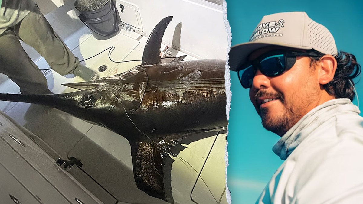 Nearly 500-pound swordfish caught in Keys, plus Captain Rodriguez