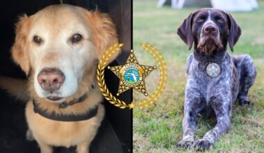 Yahoo lifestyle home