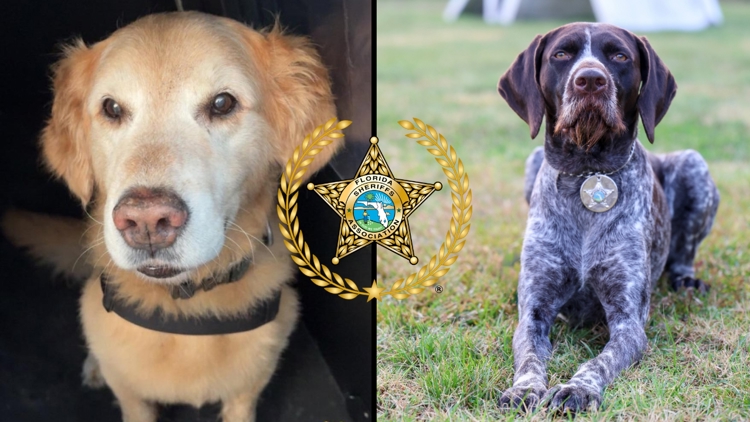 Yahoo lifestyle home