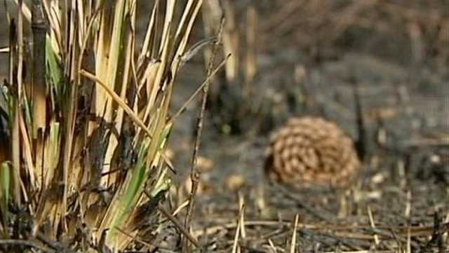 Drought still issue in Martin County