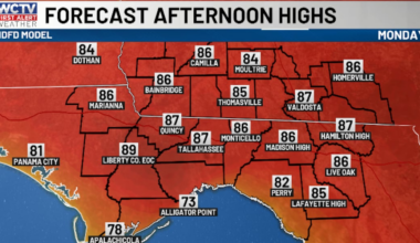 A summer feel to start the work week 🌡️😎