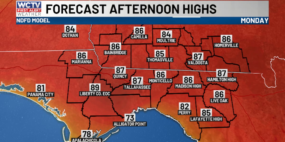 A summer feel to start the work week 🌡️😎