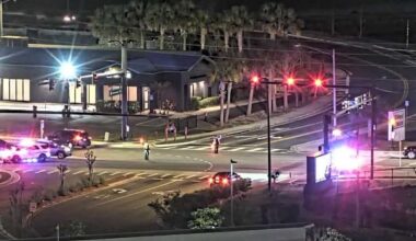 Man, dog killed in hit-and-run on Lee Road; FHP searching for driver