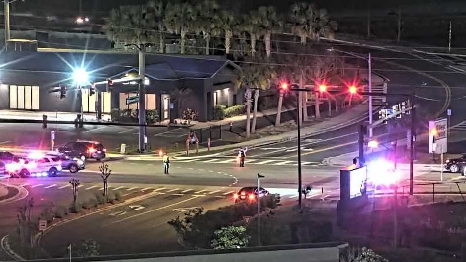 Man, dog killed in hit-and-run on Lee Road; FHP searching for driver