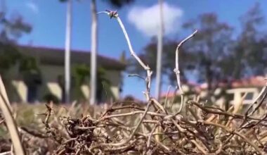 Florida counties lift burn ban as conditions improve