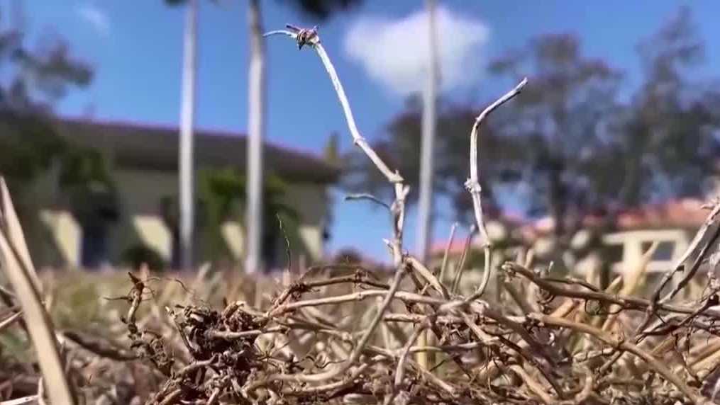 Florida counties lift burn ban as conditions improve