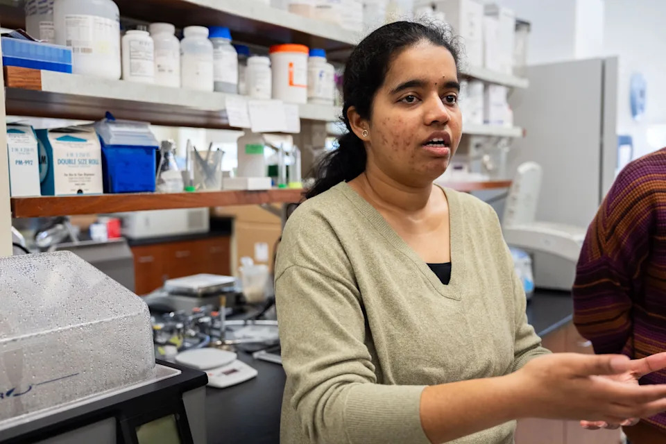 Florida State University graduate student Nethraja Kandula explains the process for testing shrimp to determine if the sample is imported or domestic shrimp Wednesday, Feb. 25, 2026.