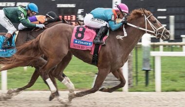 The Puma pounces in Tampa Bay Derby * The Racing Biz