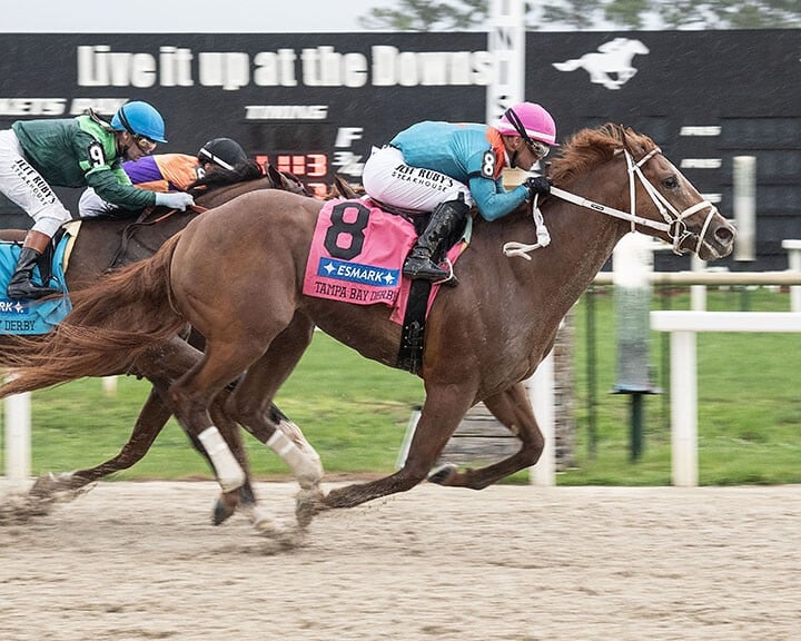 The Puma pounces in Tampa Bay Derby * The Racing Biz