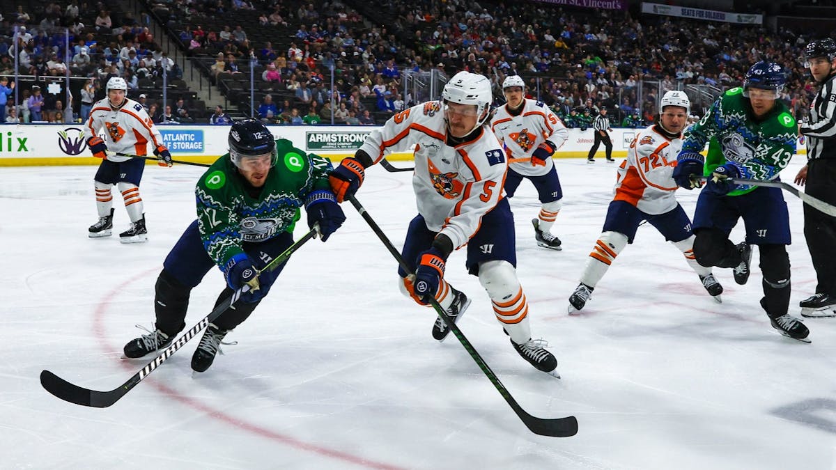 SWAMP RABBITS RALLY FALLS SHORT IN JACKSONVILLE