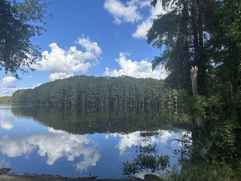 Lake Munson is surrounded by cypress trees and filled with microplastics and toxic chemicals.