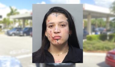 Costco customer loses it, punches woman who suggests membership be yanked. She then met an axe: MDSO