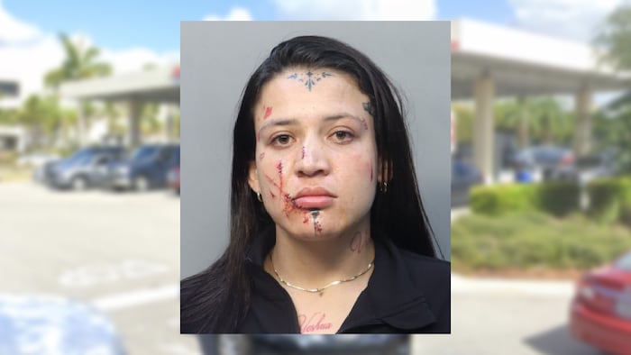 Costco customer loses it, punches woman who suggests membership be yanked. She then met an axe: MDSO