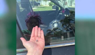 Mystery projectiles strike Florida home and car