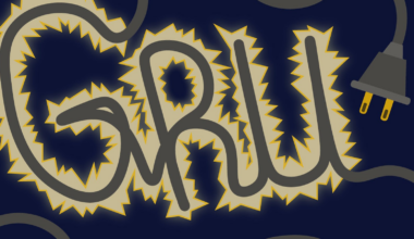 ‘Unprecedented’: Florida Senate passes bill giving GRU control to the state