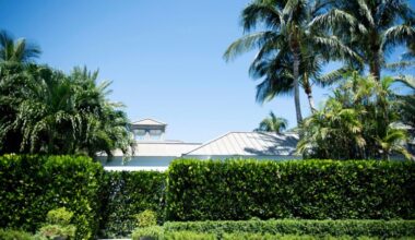 Yahoo entertainment home