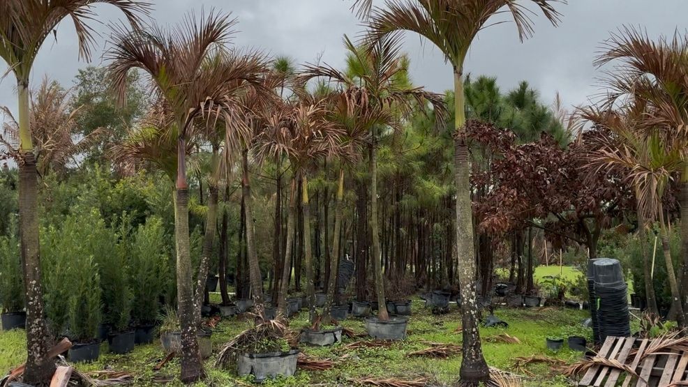 { }Standing before a group of local growers whose fields have been turned into "frozen graveyards," Congressman Brian Mast addressed farmers in Hobe Sound (WPEC)