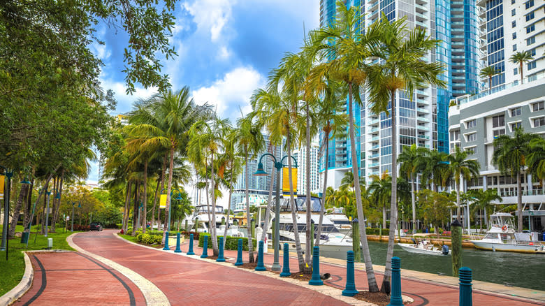 The pathway along the riverwalk in Las Olas