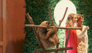 Mother's Against Drunk Driving gears up for annual SeaWorld gala