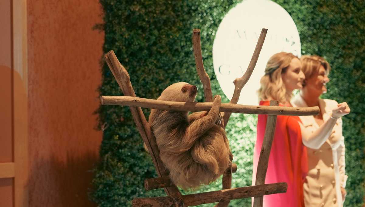 Mother's Against Drunk Driving gears up for annual SeaWorld gala