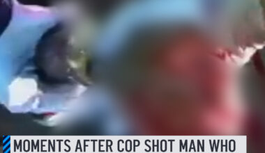 Dramatic new bodycam video shows a Hialeah Police officer shooting a driver who authorities said drove a stolen BMW toward the cop during a 2024 traffic stop. The surveillance footage obtained by NBC6 on Wednesday shows the May 28, 2024, encounter that left the driver, Lester Ramirez Rodriguez, hospitalized. Full story: http://on.nbc6.com/KwYsmDA #bmw #police #bodycam #surveillance