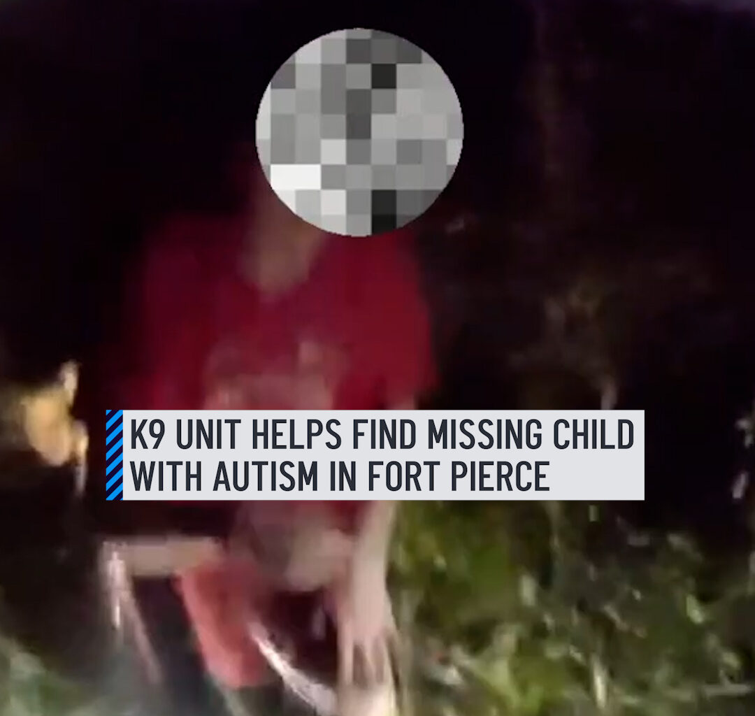 Fort Pierce Police Department located a 13-year-old child with autism after he was reported missing on March 4. After some time, Fort Pierce police requested bloodhound K9 support from Port St. Lucie Police Department, which led to K9 Hoot being deployed and supporting the search. #k9 #fortpierce #portstlucie