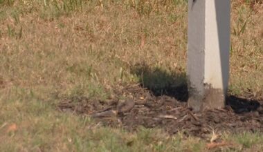 Cape Coral residents worry as drought raises questions about water supply | Lee County