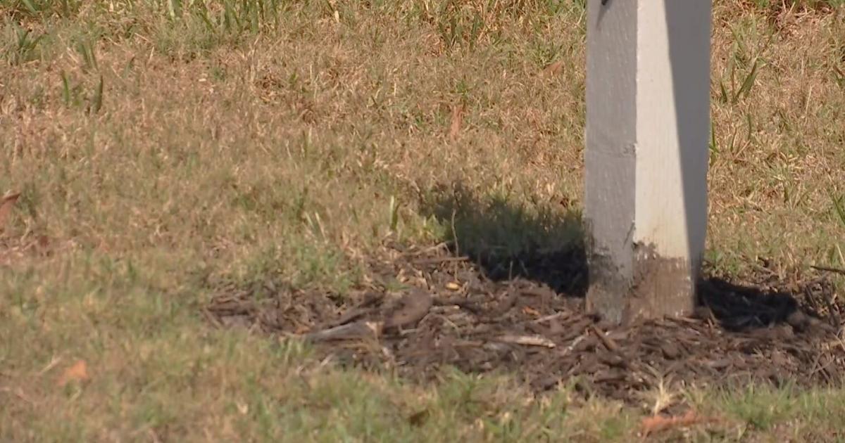 Cape Coral residents worry as drought raises questions about water supply | Lee County