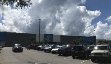 Fort Myers mom arrested for Walmart theft, child involved | Lee County