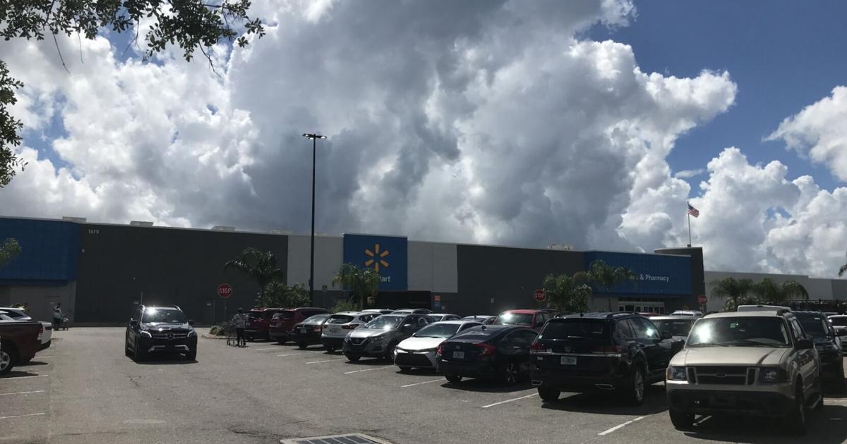 Fort Myers mom arrested for Walmart theft, child involved | Lee County