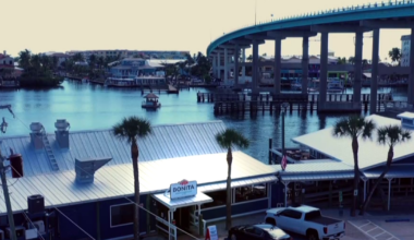 How empty waters during COVID-19 helped save Florida marine life | State