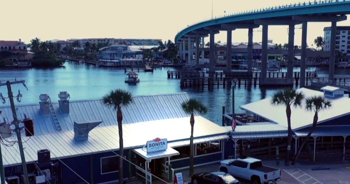 How empty waters during COVID-19 helped save Florida marine life | State