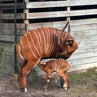 Around town: Tampa news briefs | News