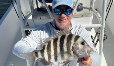 The Tampa Bay Fishin’ Report: Sheepshead bite in bay is strong | Sports