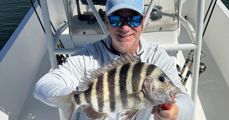 The Tampa Bay Fishin’ Report: Sheepshead bite in bay is strong | Sports