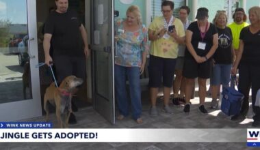 Cape Coral's longest-waiting shelter dog, Jingle, finds forever home |
