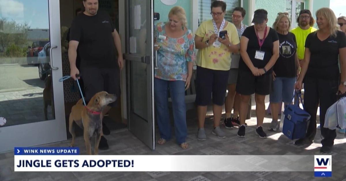 Cape Coral's longest-waiting shelter dog, Jingle, finds forever home |