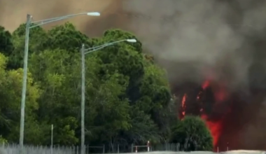 Campfire sparks Cape Coral brush fire, neighbors upset over burn ban breach | Lee County